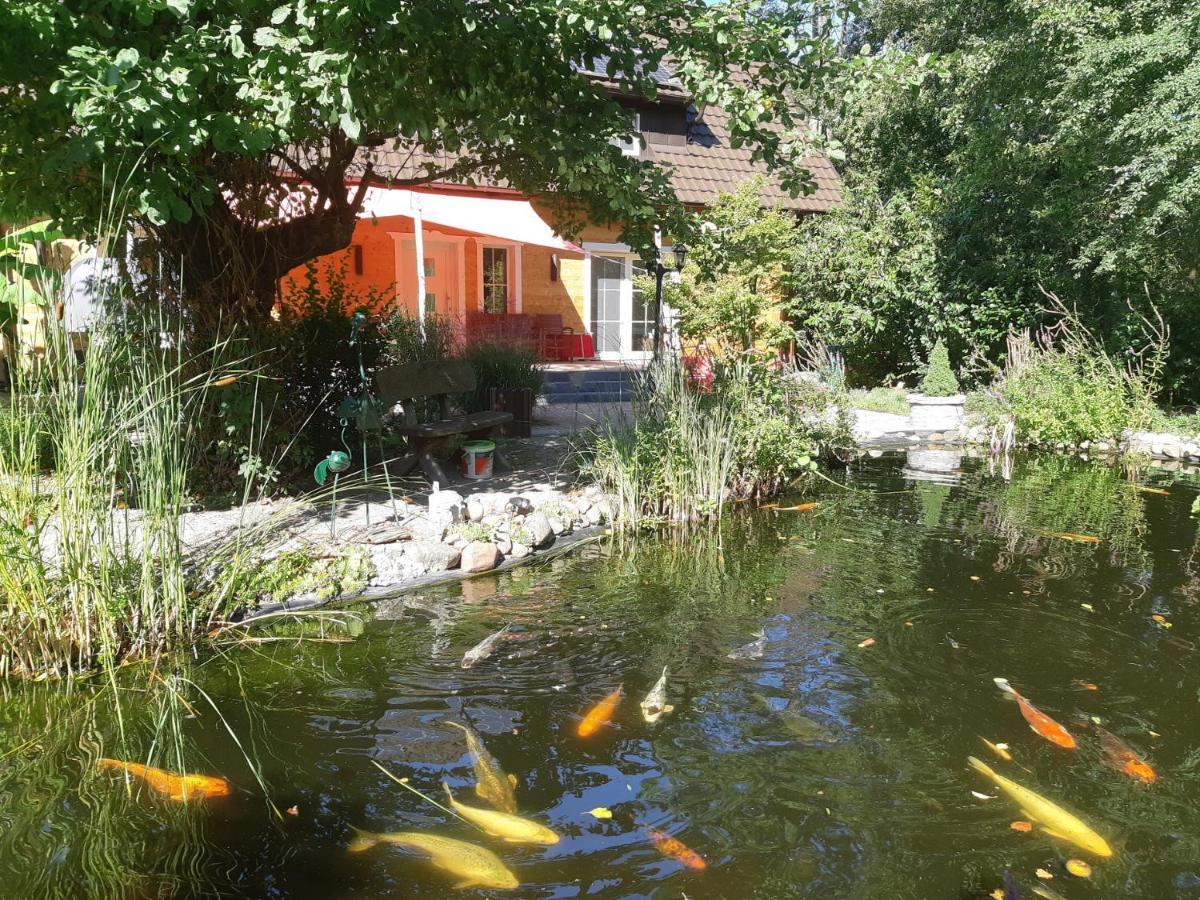 Kolonie  Salus Spreewald - Erholung & Natur - מראה חיצוני תמונה